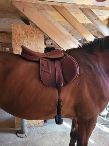 Sella da salto ostacoli Renaissance  18" - 2023