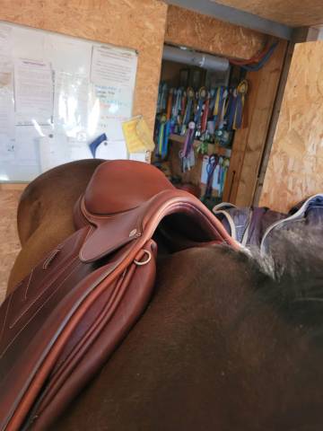 Sella da salto ostacoli Renaissance  18" - 2023