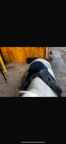 Sella da endurance Gaston Mercier  17" - 2016