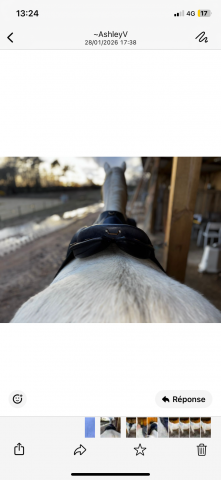 Sella da endurance Gaston Mercier  17" - 2016