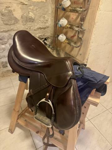 Sella mista Forestier  17" - 2017