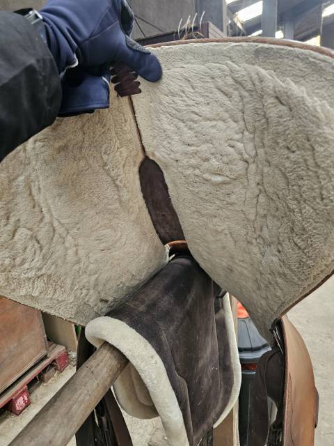 Sella western Continental  16" - 2016