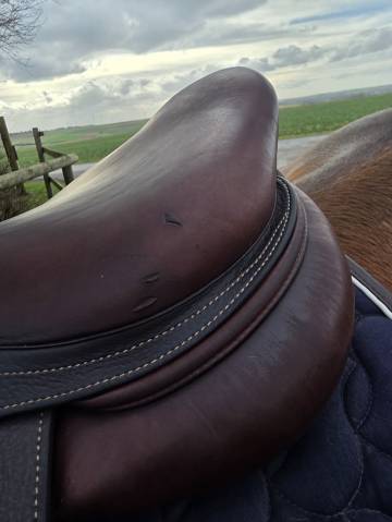 Sella da salto ostacoli CWD  17.5" - 2021