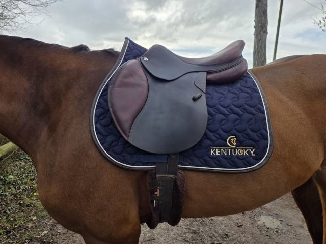 Sella da salto ostacoli CWD  17.5" - 2021