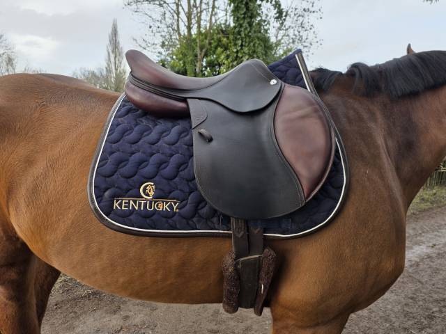 Sella da salto ostacoli CWD  17.5" - 2021