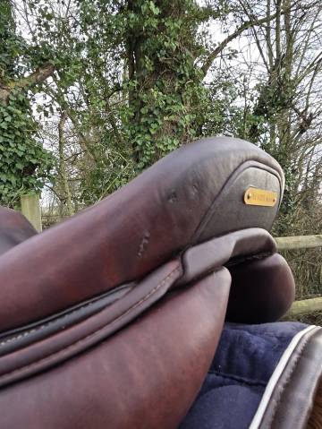 Sella da salto ostacoli CWD  17.5" - 2021