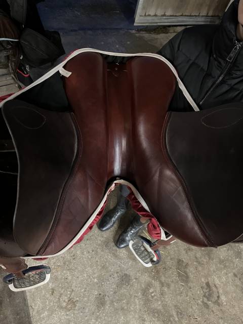 Sella da salto ostacoli CWD  17.5" - 2022