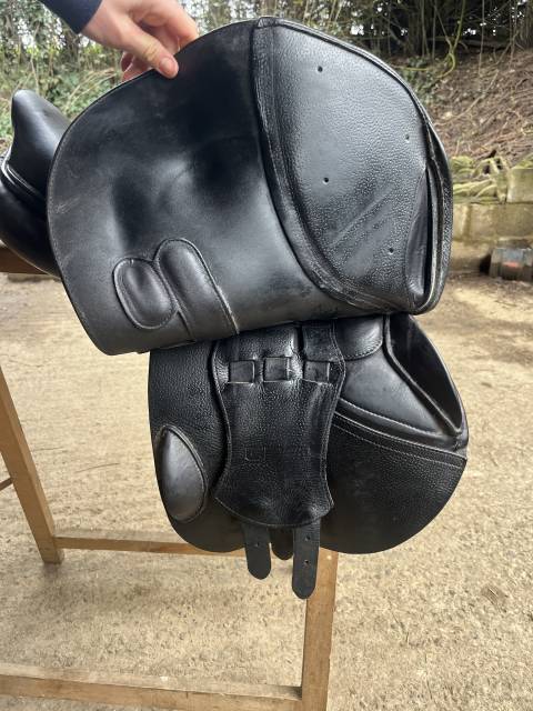 Sella mista GBS  18" - 2022