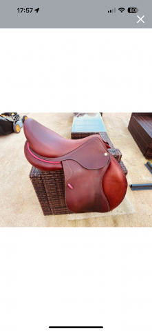 Sella mista CWD  18" - 2022