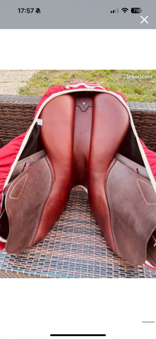 Sella mista CWD  18" - 2022