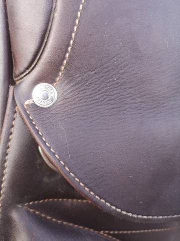 Sella da salto ostacoli Antar&egrave;s  16.5" - 2018