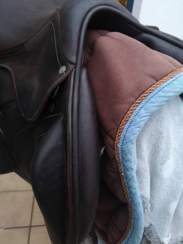 Sella da salto ostacoli Antar&egrave;s  16.5" - 2018