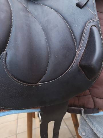 Sella da salto ostacoli Antar&egrave;s  16.5" - 2018