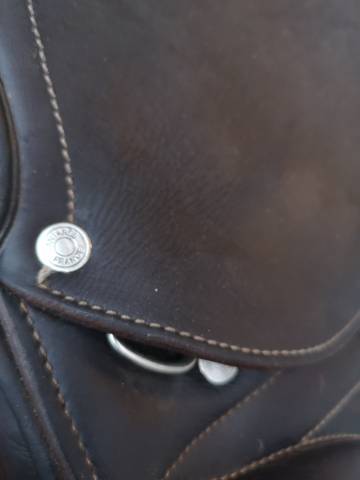 Sella da salto ostacoli Antar&egrave;s  16.5" - 2018