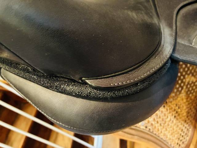 Sella da dressage Arion Dressage 17" - 2023