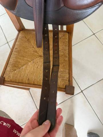 Sella da salto ostacoli CWD  17.5" - 2000