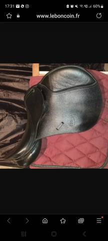 Sella mista  CHETAK  16.5" - 2021