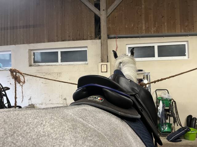 Sella da salto ostacoli Childeric  17.5" - 2025