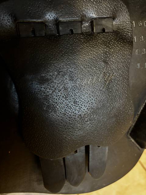 Sella da salto ostacoli Time Rider  18" - 2016