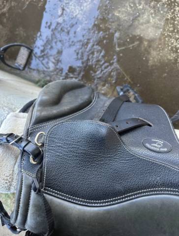 Sella mista  Guy cantin 14.5" - 2024