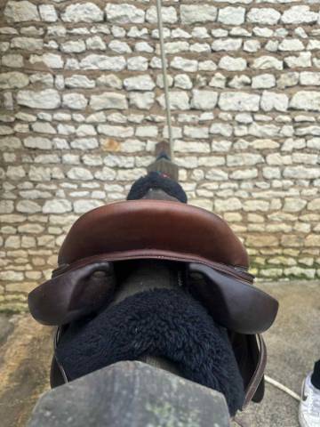 Sella da salto ostacoli Forestier  17" - 2021