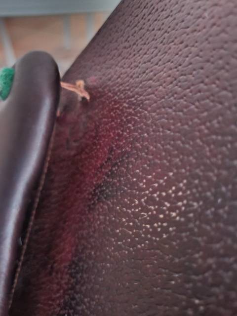 Sella mista Equipe  17.5" - 2014