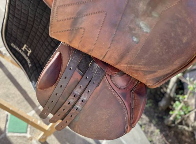 Sella da salto ostacoli Renaissance M 18" - 2023