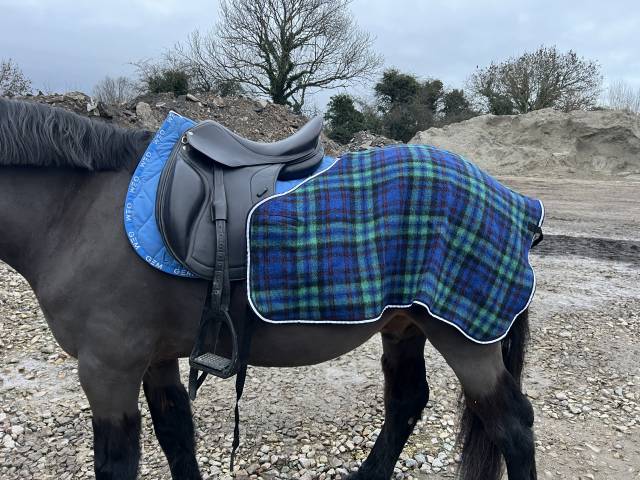 Sella da dressage Forestier  16.5" - 2012