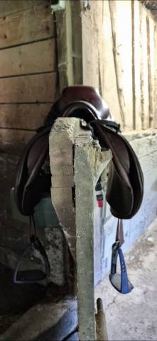 Sella da salto ostacoli CWD  17.5" - 2014