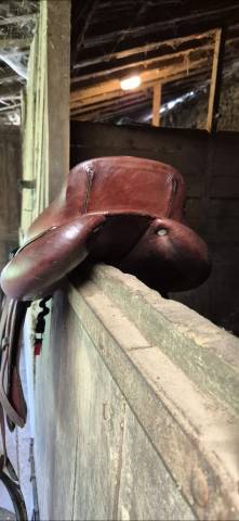 Sella da salto ostacoli CWD  17.5" - 2014