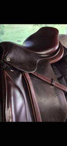 Sella da salto ostacoli CWD  17.5" - 2014