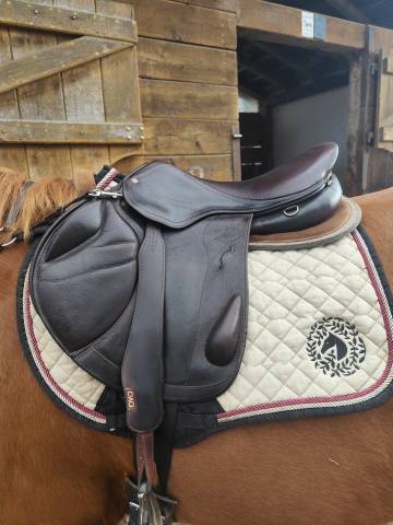 Sella da salto ostacoli Mondange  17.5" - 2000