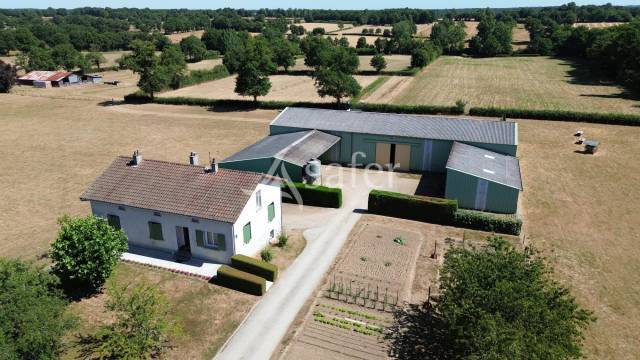 Azienda ovina In vendita Charente