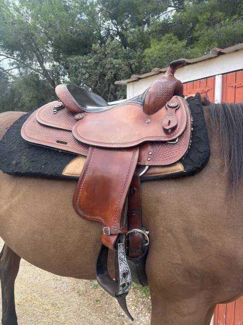 Sella western  Crates  17" - 2015