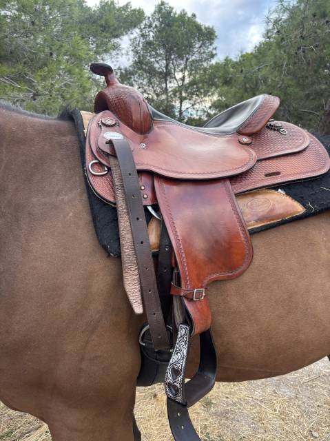 Sella western  Crates  17" - 2015