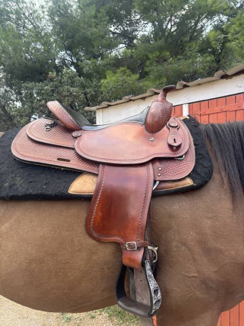 Sella western  Crates  17" - 2015