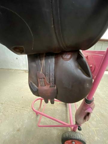 Sella da salto ostacoli Antar&egrave;s  17.5" - 2018