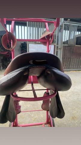 Sella da salto ostacoli Antar&egrave;s  17.5" - 2018