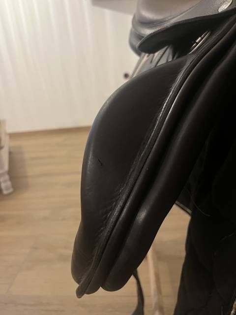 Sella da cross Rebelle  17.5" - 2019