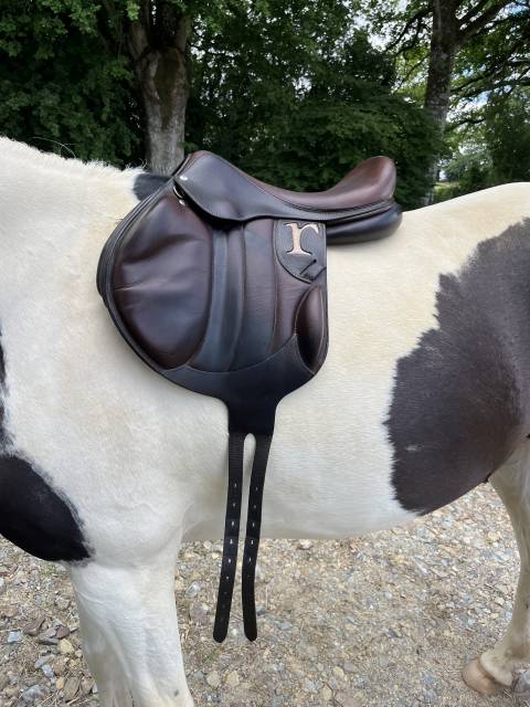 Sella da cross Rebelle  17.5" - 2019