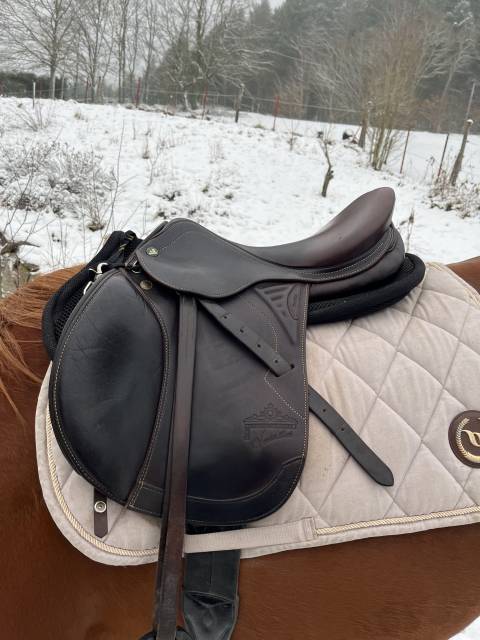 Sella da salto ostacoli Prestige Italia  17" - 2018