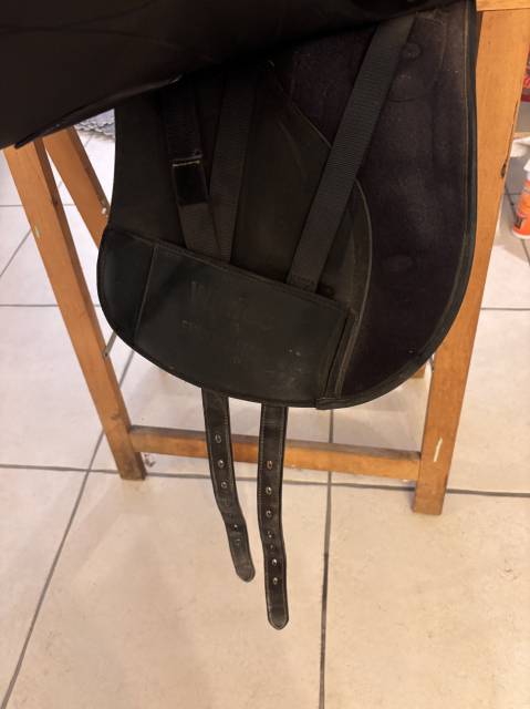 Sella mista Wintec  17.5" - 2023