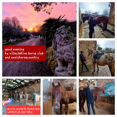 Altro - Altro contratto Contratto - Yonne Francia