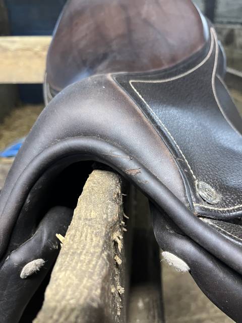 Sella Junior / Sella Pony Privil&egrave;ge Equitation  16" - 2024