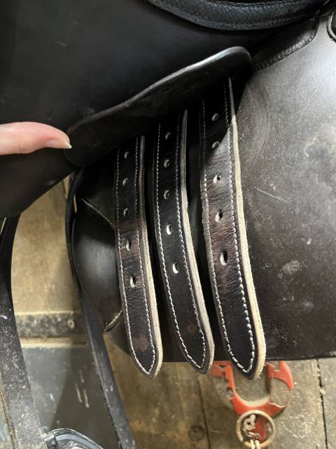 Sella Junior / Sella Pony Privil&egrave;ge Equitation  16" - 2024