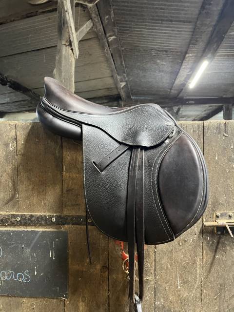 Sella Junior / Sella Pony Privil&egrave;ge Equitation  16" - 2024