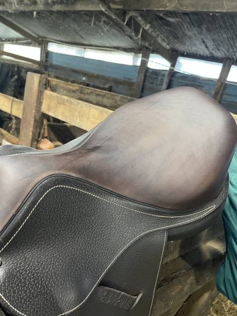 Sella Junior / Sella Pony Privil&egrave;ge Equitation  16" - 2024