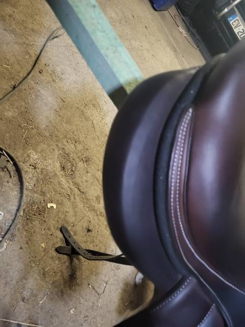 Sella da salto ostacoli Forestier  18" - 2023