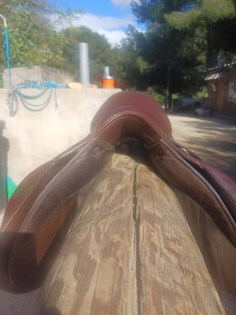 Sella mista Forestier  17" - 2024