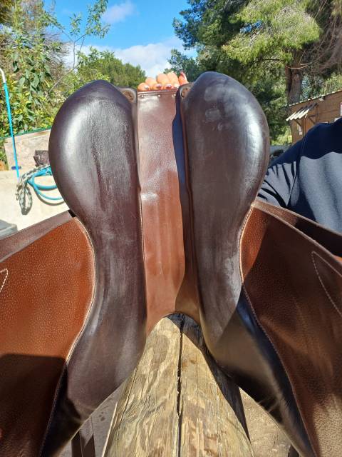 Sella mista Forestier  17" - 2024